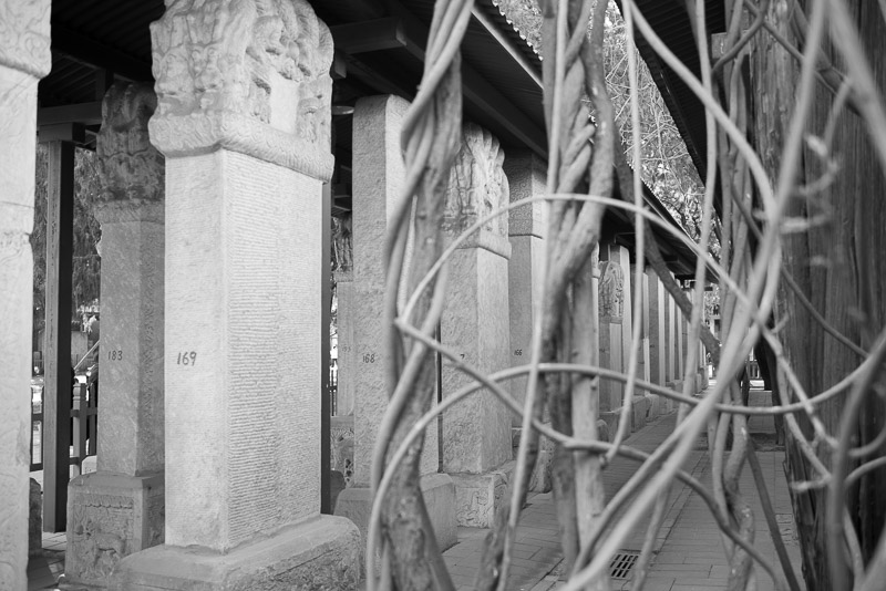 Confucius Temple & Imperial Academy