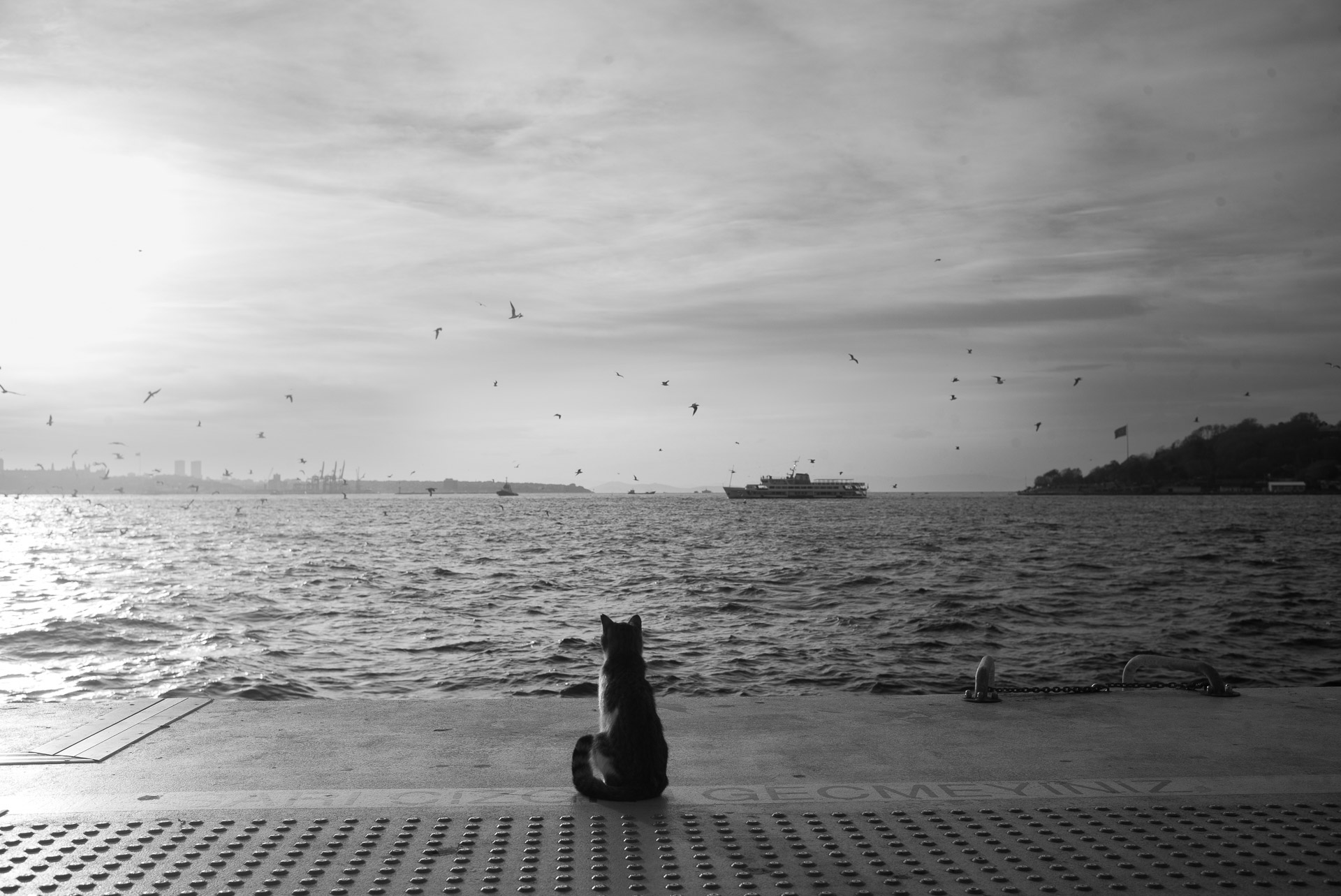 Featured photograph 2