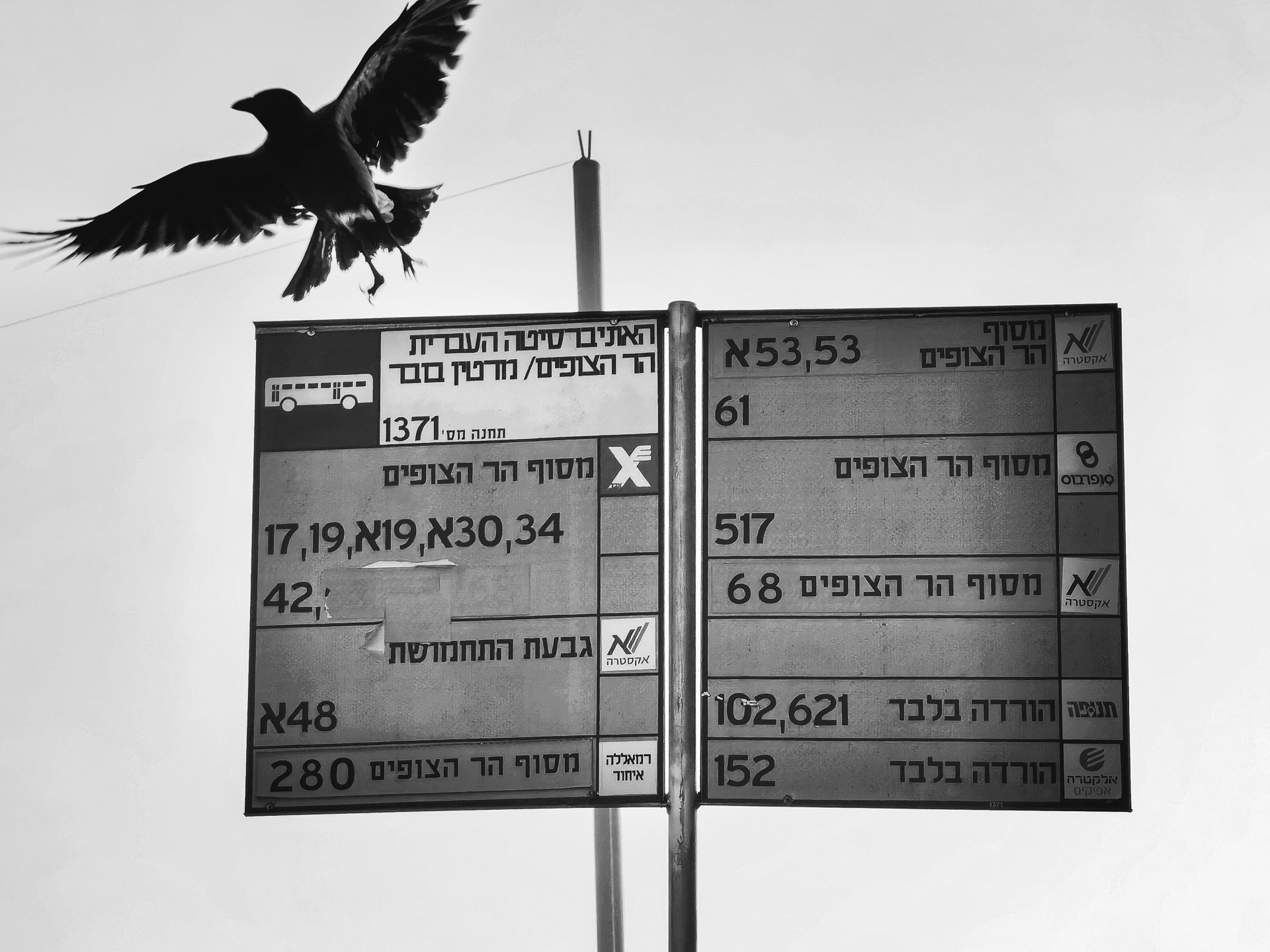 Featured photograph 3