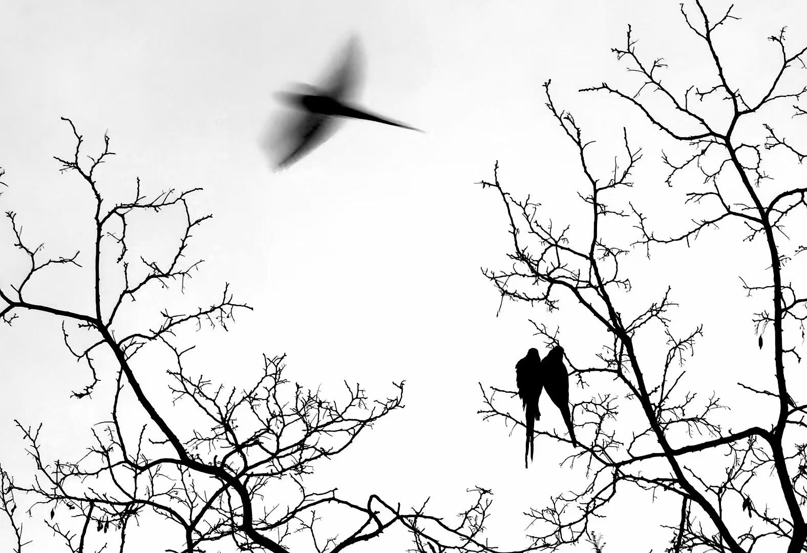 Featured photograph 8